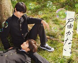 新手怎么用seo赚钱